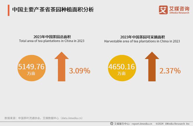 025年中国茶叶产业发展及消费者洞察行业报告AG真人游戏平台入口艾媒咨询｜2024-2(图13)